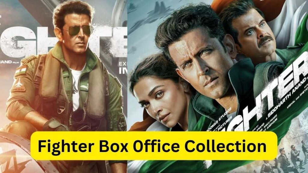 fighter box office collection